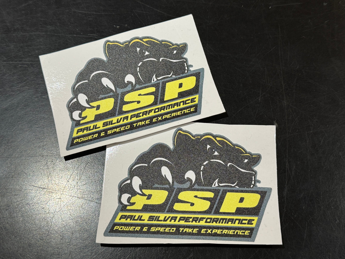 PSP “WAR CAT” Sticker - Paul Silva